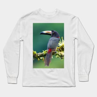 Collared Aracari - Costa Rica Long Sleeve T-Shirt